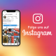 Folge uns auf Instagram